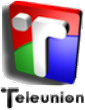 Teleunión Canal 12 logo