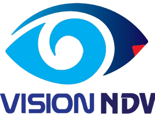 Vision NDV logo