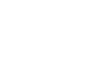 Space logo