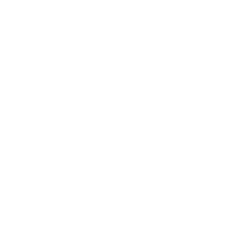TNT logo