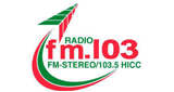 Logo de FM 103.5