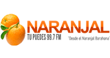 Logo de Naranjal 99.7 FM