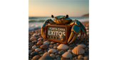 Logo de Punta Cana Exitos